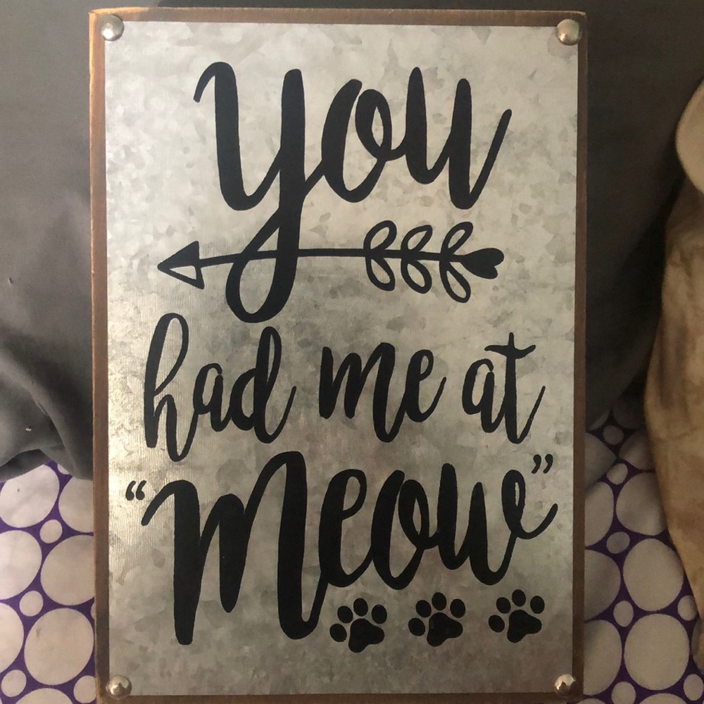 “You had me at meow” room decor (great condition)